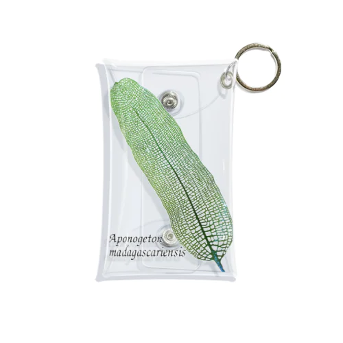 レースプラント Mini Clear Multipurpose Case
