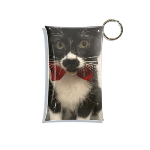 おにぎり猫のハン Mini Clear Multipurpose Case