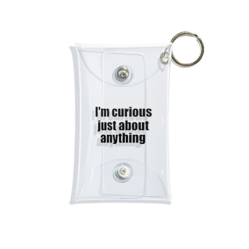 I'm curious just about anything Mini Clear Multipurpose Case