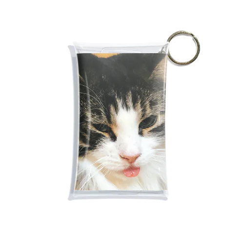 退屈ねこ Mini Clear Multipurpose Case