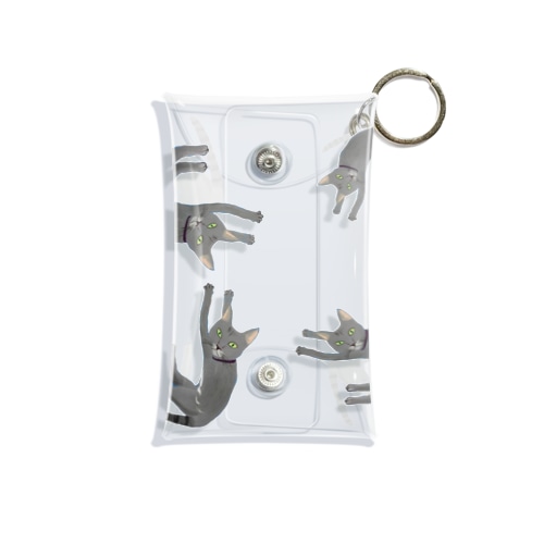 ふぇるくん　ねこのうず Mini Clear Multipurpose Case