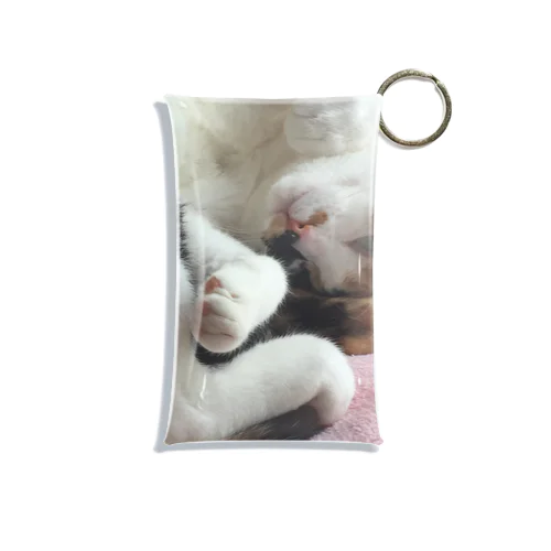 愛猫モモ Mini Clear Multipurpose Case