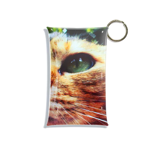 公園猫　 Mini Clear Multipurpose Case