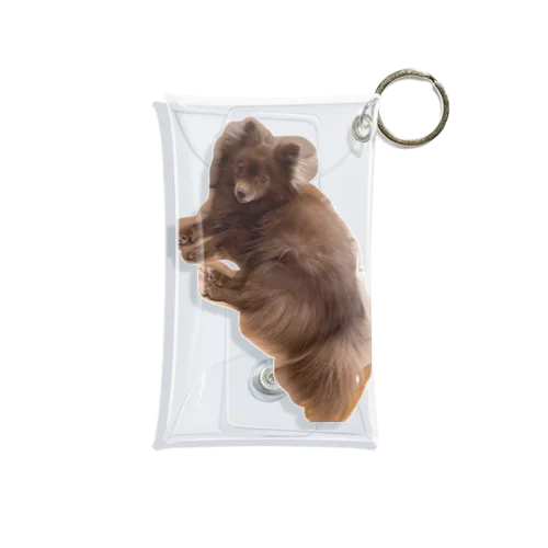 犬のミニクリアケース Mini Clear Multipurpose Case