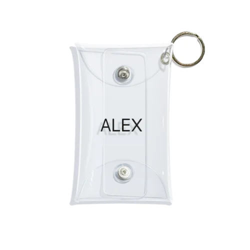 ALEX Mini Clear Multipurpose Case