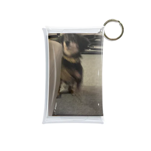 犬 Mini Clear Multipurpose Case