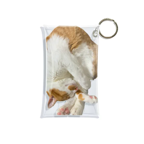 えび風コマ Mini Clear Multipurpose Case
