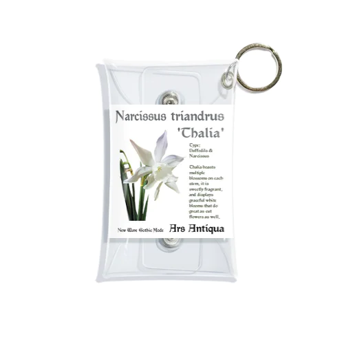 Narucissus Triandrus 'Thalia' 1  Mini Clear Multipurpose Case