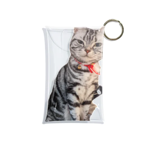 猫のトォーラ Mini Clear Multipurpose Case