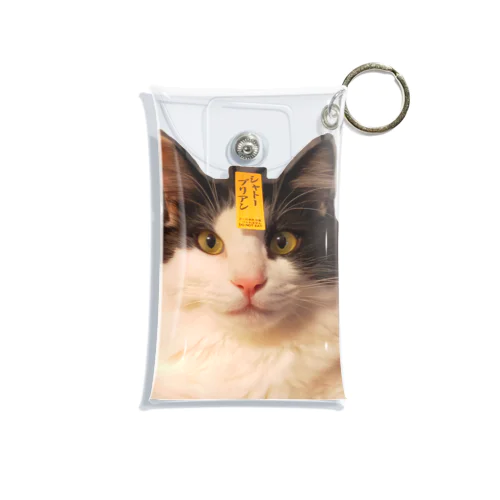 シャトーブリアン猫 Mini Clear Multipurpose Case