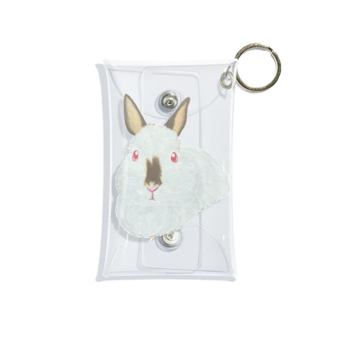 うさぎさん🐰ヒマラヤン Mini Clear Multipurpose Case