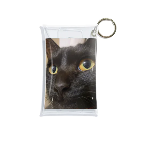 黒猫天ちゃん Mini Clear Multipurpose Case