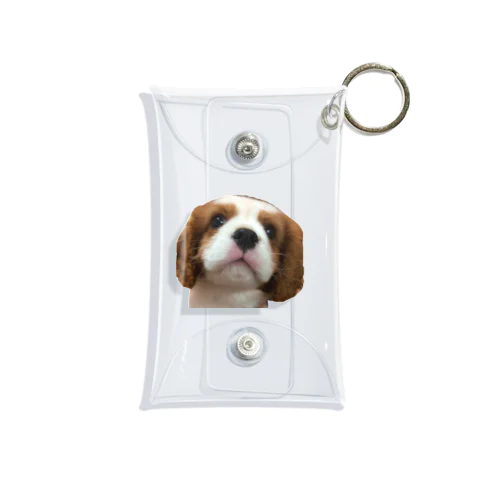 Dog Mini Clear Multipurpose Case