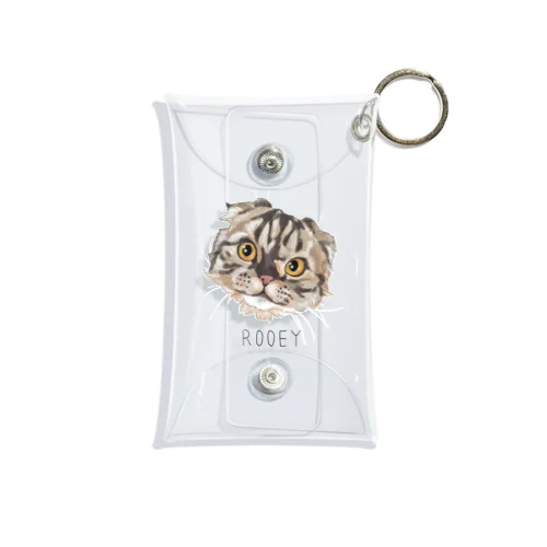 rooey Mini Clear Multipurpose Case