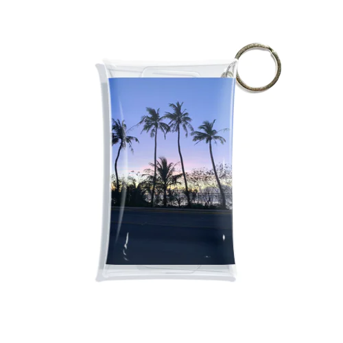 guam Mini Clear Multipurpose Case