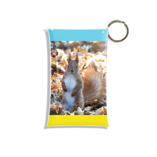 ウクライナのリス Mini Clear Multipurpose Case