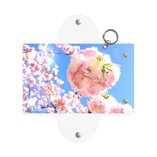 鮮やかに 青空と桜 Mini Clear Multipurpose Case