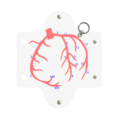 とにかく冠動脈番号ケース Mini Clear Multipurpose Case