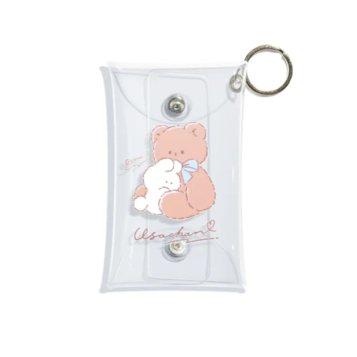 BIG teddy Mini Clear Multipurpose Case