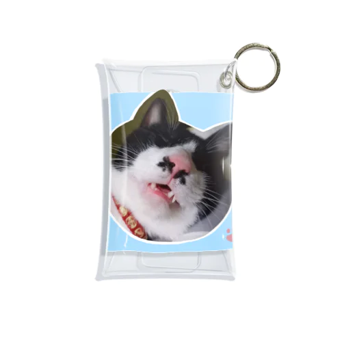 眠りこけた猫。2 Mini Clear Multipurpose Case