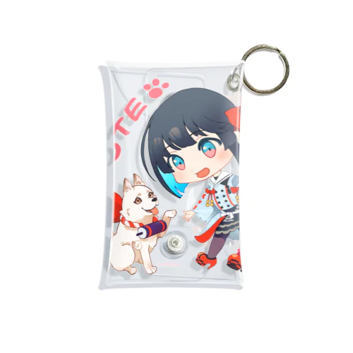 OTE Mini Clear Multipurpose Case