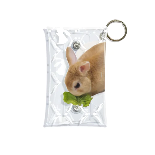 たべる Mini Clear Multipurpose Case