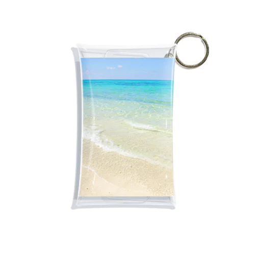 You can do it. Mini Clear Multipurpose Case