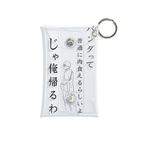 Mini Clear Multipurpose Case