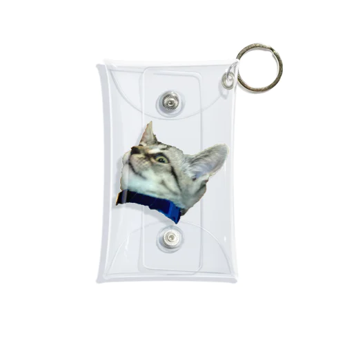 ねこ Mini Clear Multipurpose Case