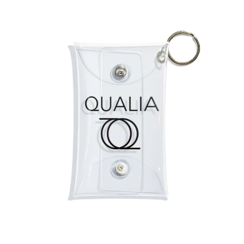 QUALIA multi clear case Mini Clear Multipurpose Case