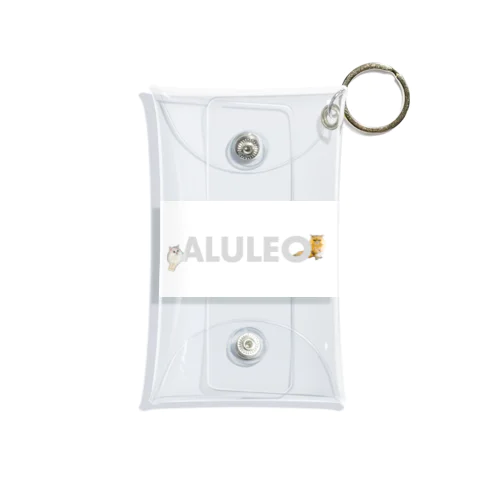 ALULEO Mini Clear Multipurpose Case