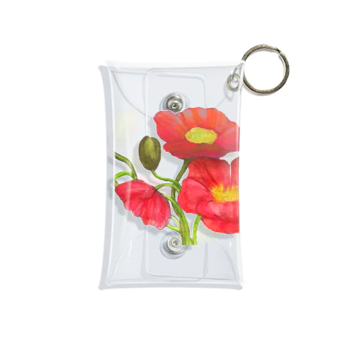 Poppy Mini Clear Multipurpose Case