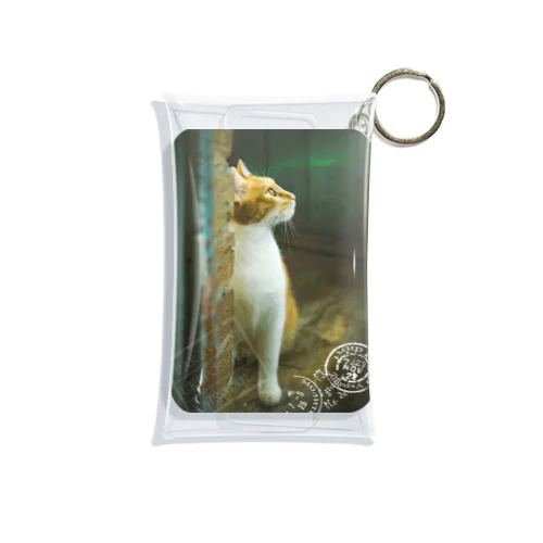 ウクライナの猫 MurchikくんとNikotinくん♡ Cats ♡ Ukrainian cats #ウクライナ 本と猫 Donation Items Mini Clear Multipurpose Case