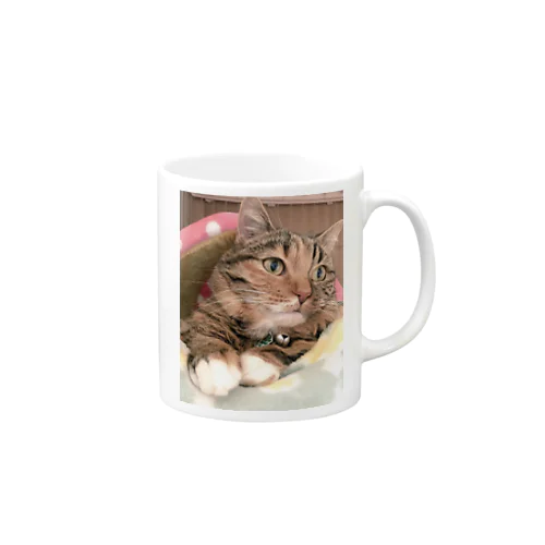 悟り猫 Mug