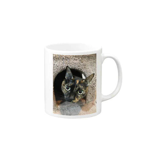 サビ猫タビ Mug