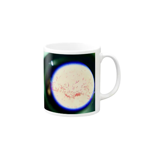 Gram-negative bacilli Micrograph Mug