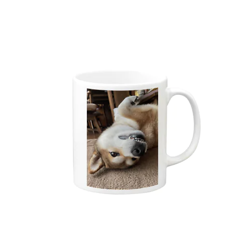 Mugi is Tanuki Mug