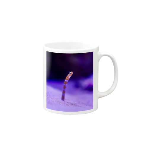 チンアナゴさん　写真 Mug