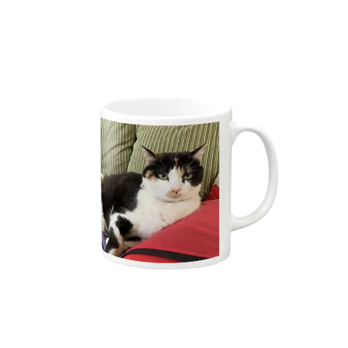 三毛猫なっちゃん Mug