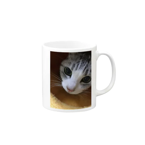 ねこまろ Mug