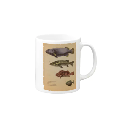 魚類画帳 Mug