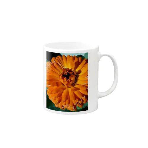 太陽の光とともに Mug