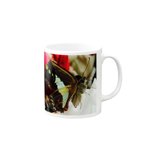 アオスジアゲハのチョウタロウ マグカップ