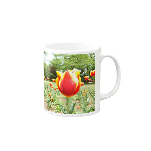  Tulip Mug