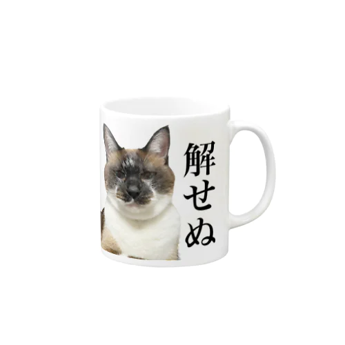 解せぬ Mug