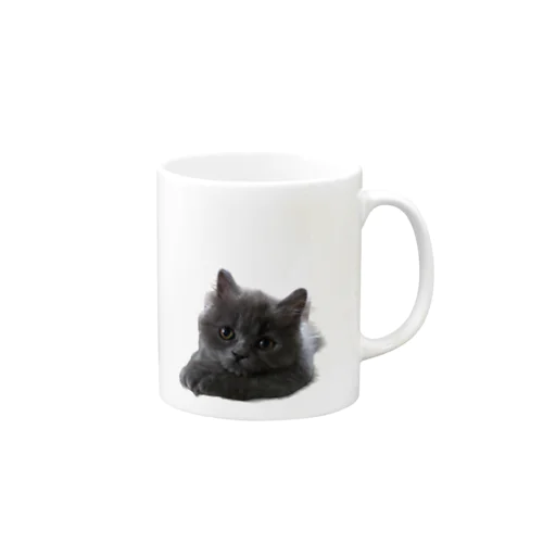 子猫のスアちゃん Mug