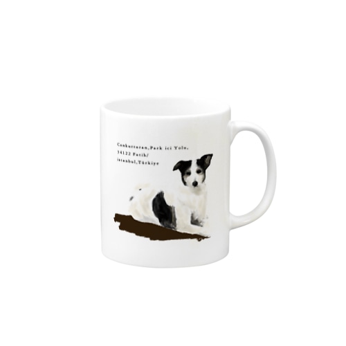 トルコの野良犬さん（スルタンアフメト・モスク） Mug