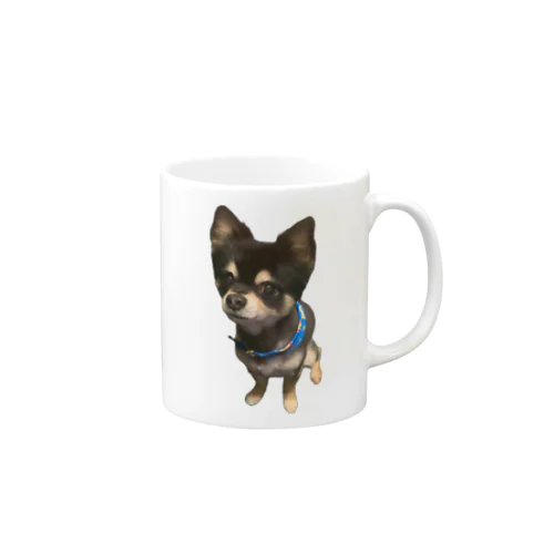 我が家の愛犬レン君 🐶1 Mug