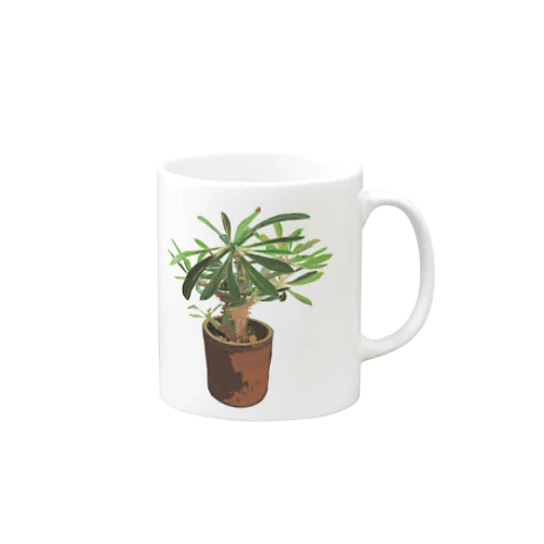 Pachypodium densiflorum Mug