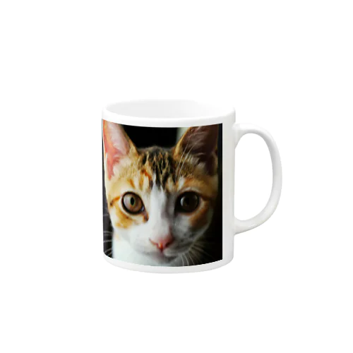 三毛猫ちゃん Mug